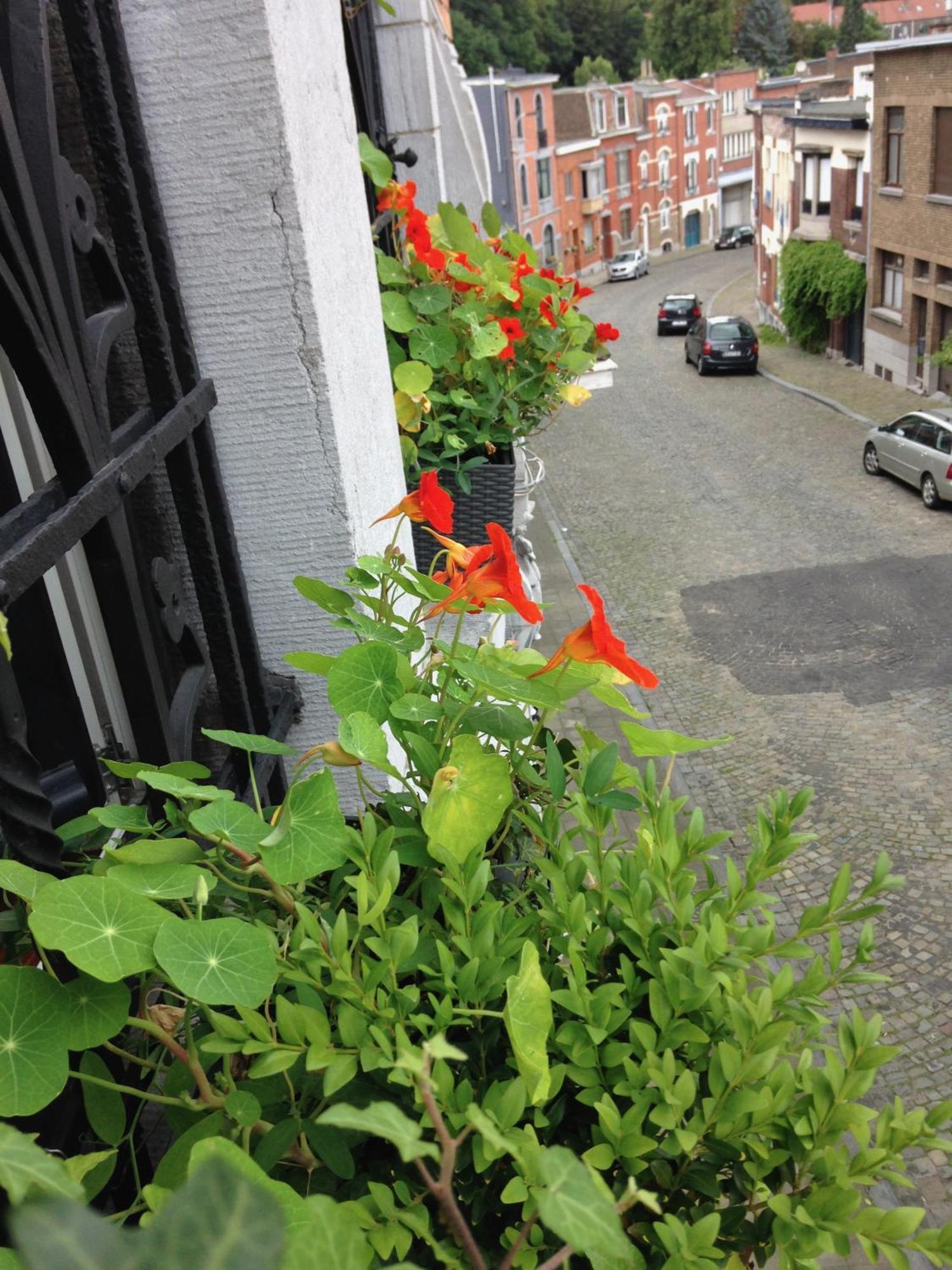 B&B Matin Tranquille Liege Exterior photo
